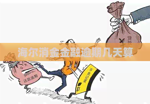 海尔消金金融逾期几天算