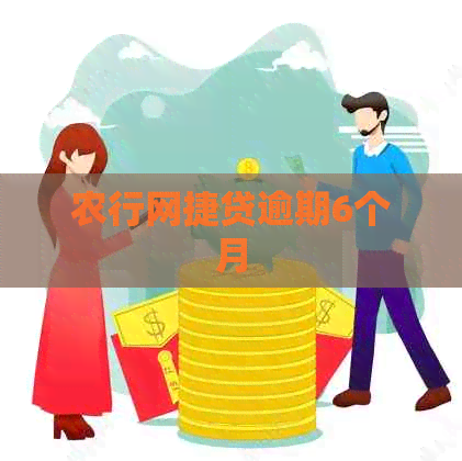 农行网捷贷逾期6个月