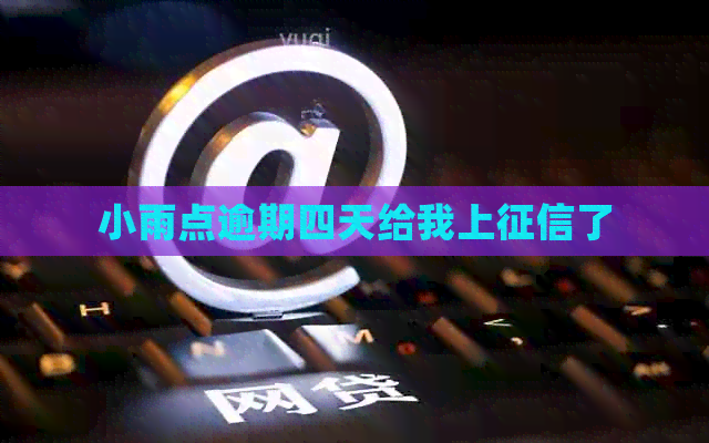 小雨点逾期四天给我上了