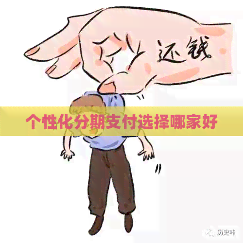 个性化分期支付选择哪家好