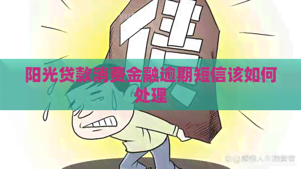 阳光贷款消费金融逾期短信该如何处理