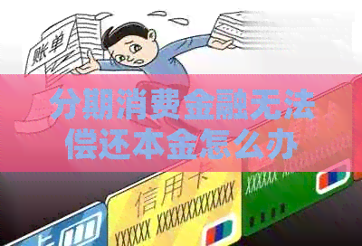 分期消费金融无法偿还本金怎么办