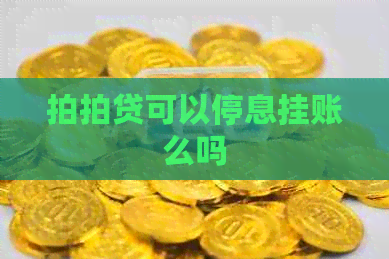 可以停息挂账么吗