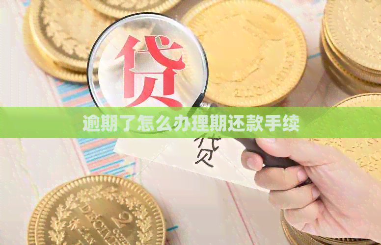 逾期了怎么办理期还款手续