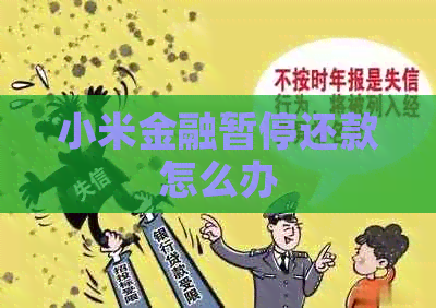 小米金融暂停还款怎么办