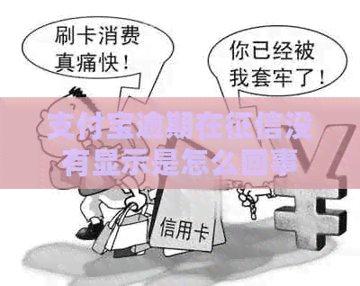 支付宝逾期在没有显示是怎么回事