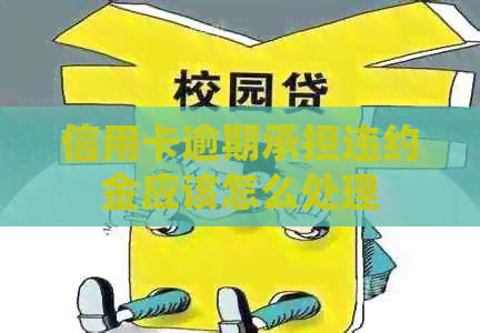 信用卡逾期承担违约金应该怎么处理