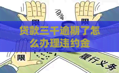 贷款三千逾期了怎么办理违约金