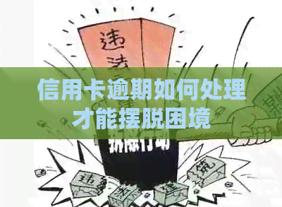 信用卡逾期如何处理才能摆脱困境