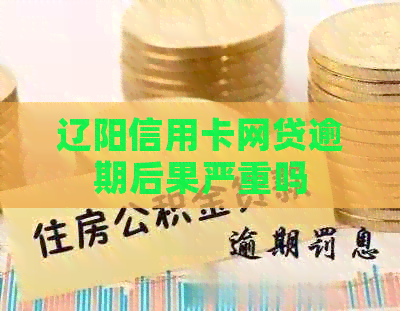 辽阳信用卡网贷逾期后果严重吗