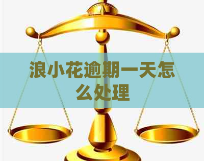 浪小花逾期一天怎么处理
