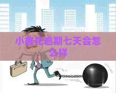 小鑫花逾期七天会怎么样