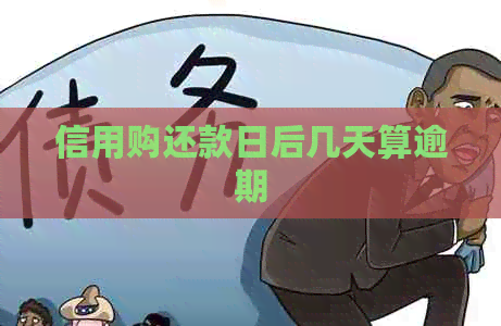 信用购还款日后几天算逾期