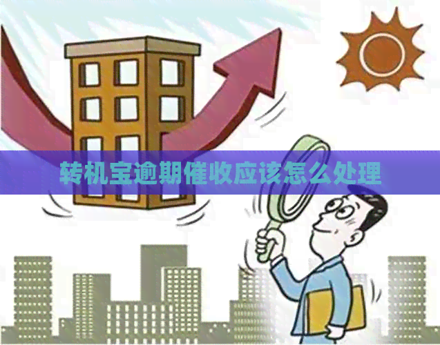 转机宝逾期应该怎么处理