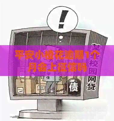 平安小橙花逾期1个月会上吗