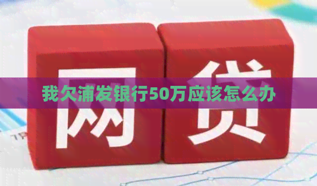 我欠浦发银行50万应该怎么办