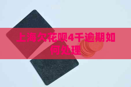 上海欠花呗4千逾期如何处理