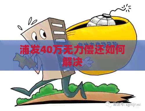 浦发40万无力偿还如何解决