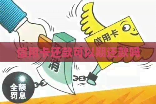 信用卡还款可以期还款吗
