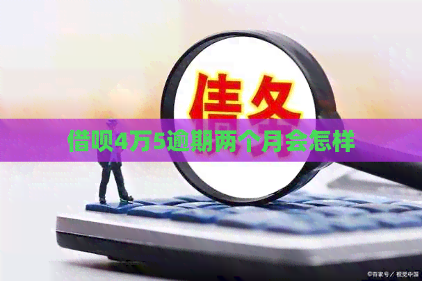 借呗4万5逾期两个月会怎样