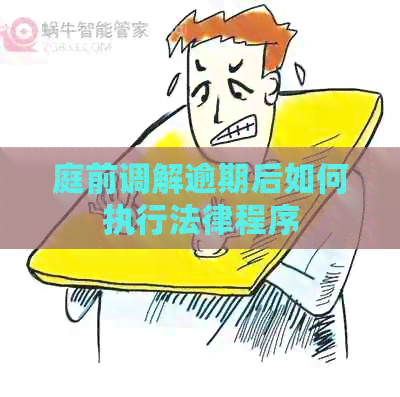 庭前调解逾期后如何执行法律程序