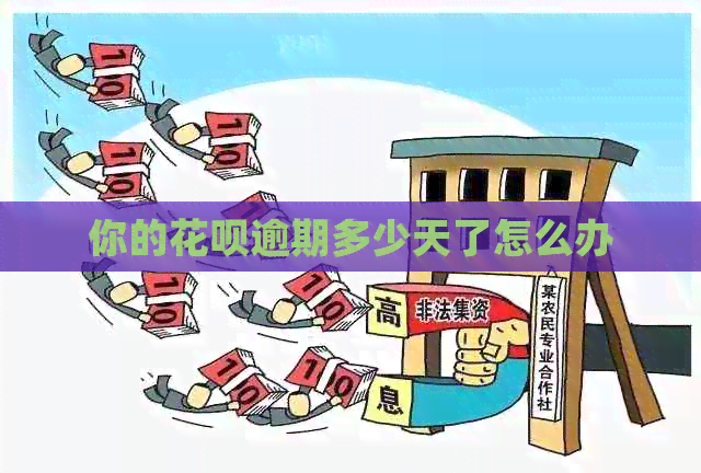 你的花呗逾期多少天了怎么办