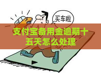 支付宝备用金逾期十五天怎么处理