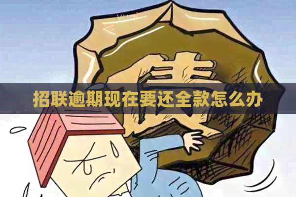 招联逾期现在要还全款怎么办