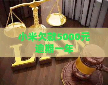 小米欠款5000元逾期一年