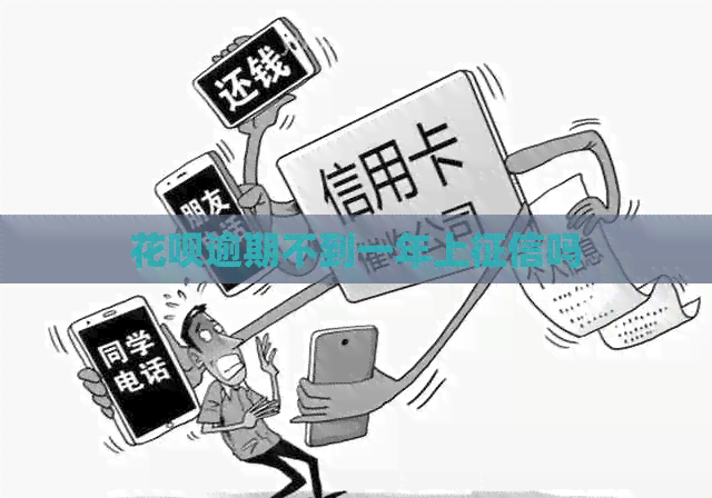 花呗逾期不到一年上吗