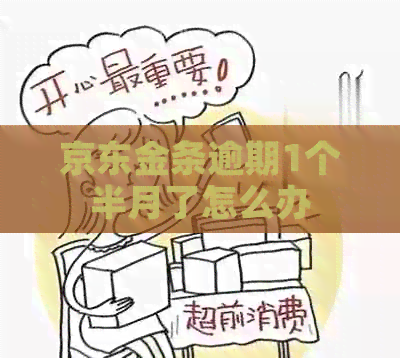 京东金条逾期1个半月了怎么办