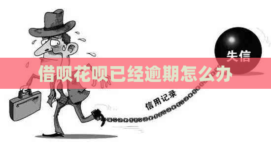 借呗花呗已经逾期怎么办