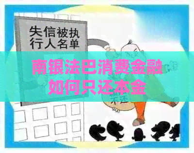南银法巴消费金融如何只还本金