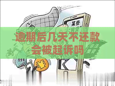 逾期后几天不还款会被起诉吗