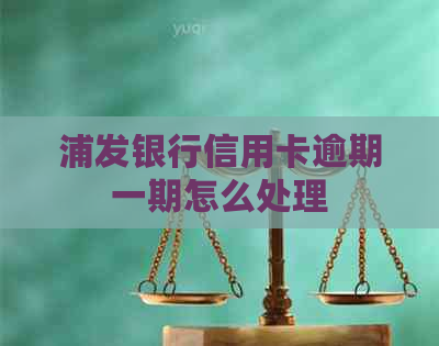 浦发银行信用卡逾期一期怎么处理