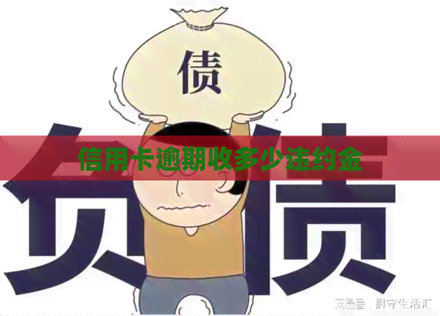 信用卡逾期收多少违约金