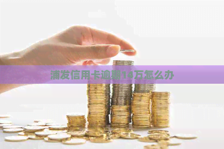 浦发信用卡逾期14万怎么办