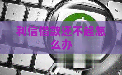 利信借款还不起怎么办