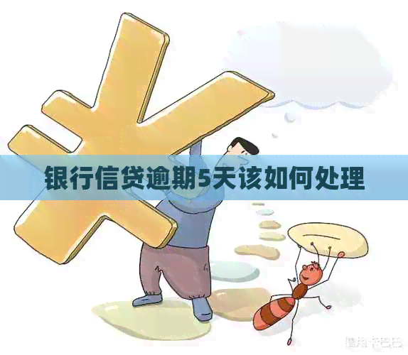 银行信贷逾期5天该如何处理