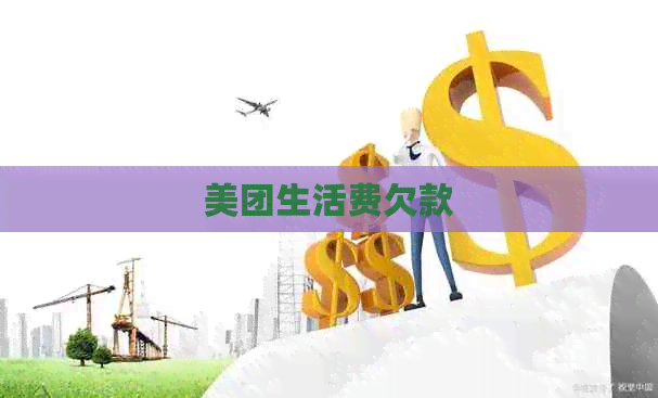 美团生活费欠款