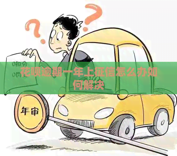 花呗逾期一年上怎么办如何解决