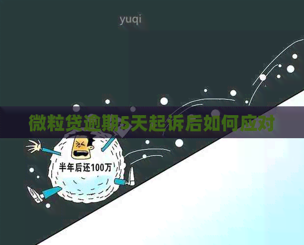 微粒贷逾期5天起诉后如何应对