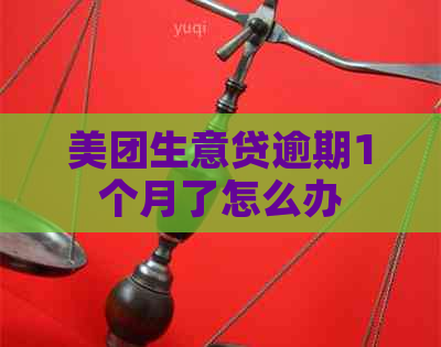 美团生意贷逾期1个月了怎么办