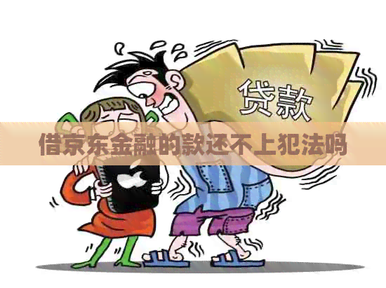 借京东金融的款还不上犯法吗
