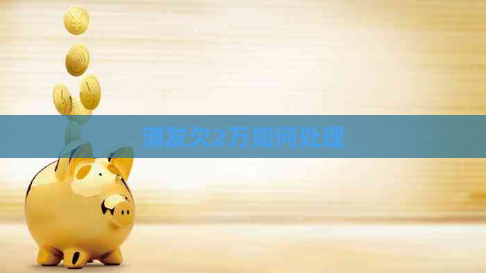 浦发欠2万如何处理