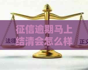 逾期马上结清会怎么样能不能贷款