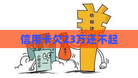 信用卡欠23万还不起