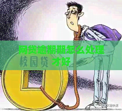 网贷逾期期怎么处理才好