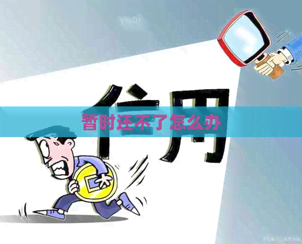 暂时还不了怎么办