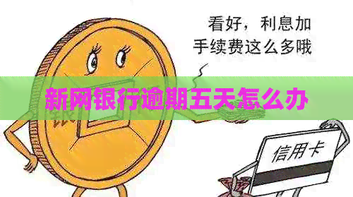 新网银行逾期五天怎么办